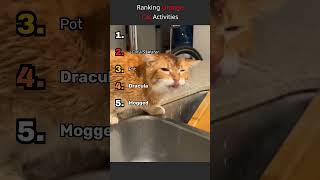 Orange Cat Ranking #blindranking #rankingfilter #cats #clingycat #catcore #funnycats #pets #trending