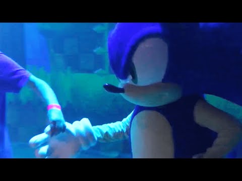 Sonic 25th ruined anniversary