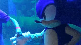 Sonic 25th ruined anniversary