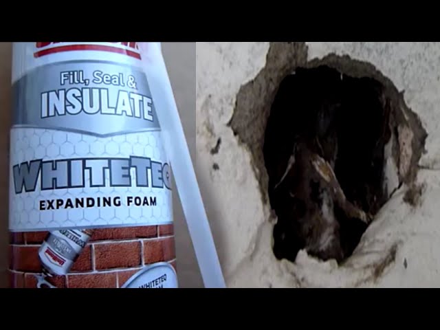 How to Fill Holes with Expanding Foam Spray - Pest Block - Agile