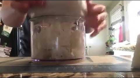 Chop Onions TEAR FREE with Pampered Chef Manual Food Processor