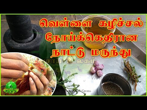 வெள்ளை கழிச்சல் நோய்க்கான நாட்டு மருந்து தயாரிப்பது எப்படி ?