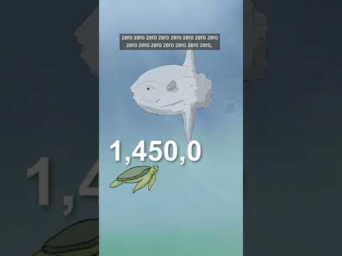 Oceans give, Oceans