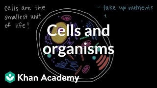 Cells and Organisms | Middle school biology | Khan Academy