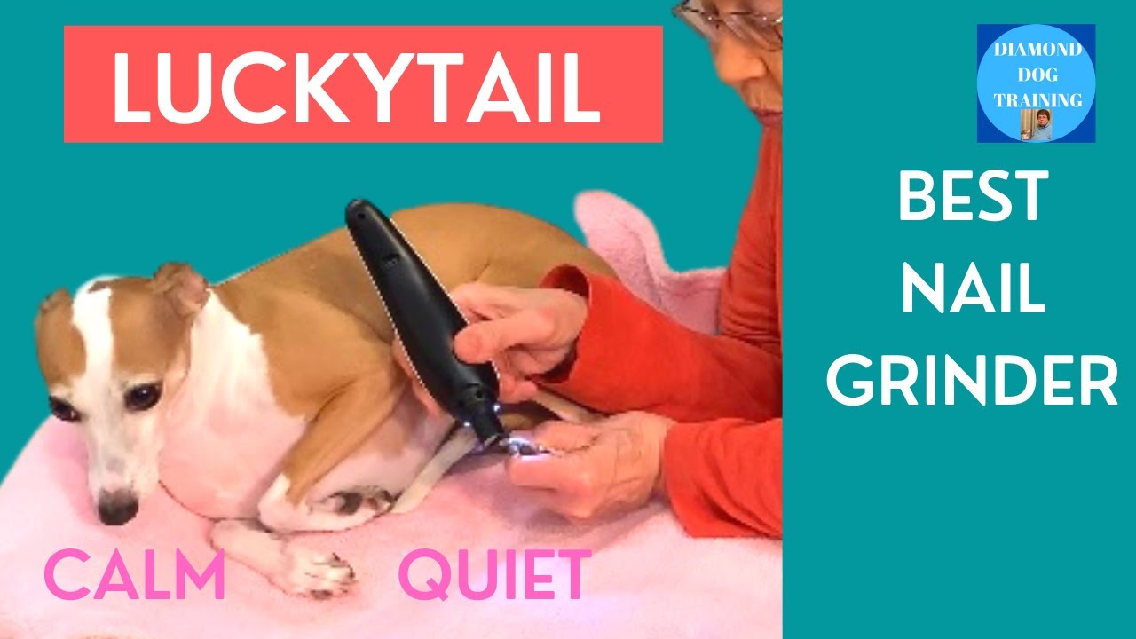 Dog Nail Grinder Professional Electric Pet Nail Trimmer Practical Pet Nail  Trimmers With With Safety Guard For Large Medium - AliExpress