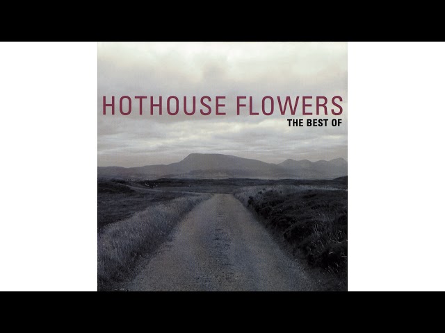 HOTHOUSE FLOWERS - YOU CAN LOVE ME NOW