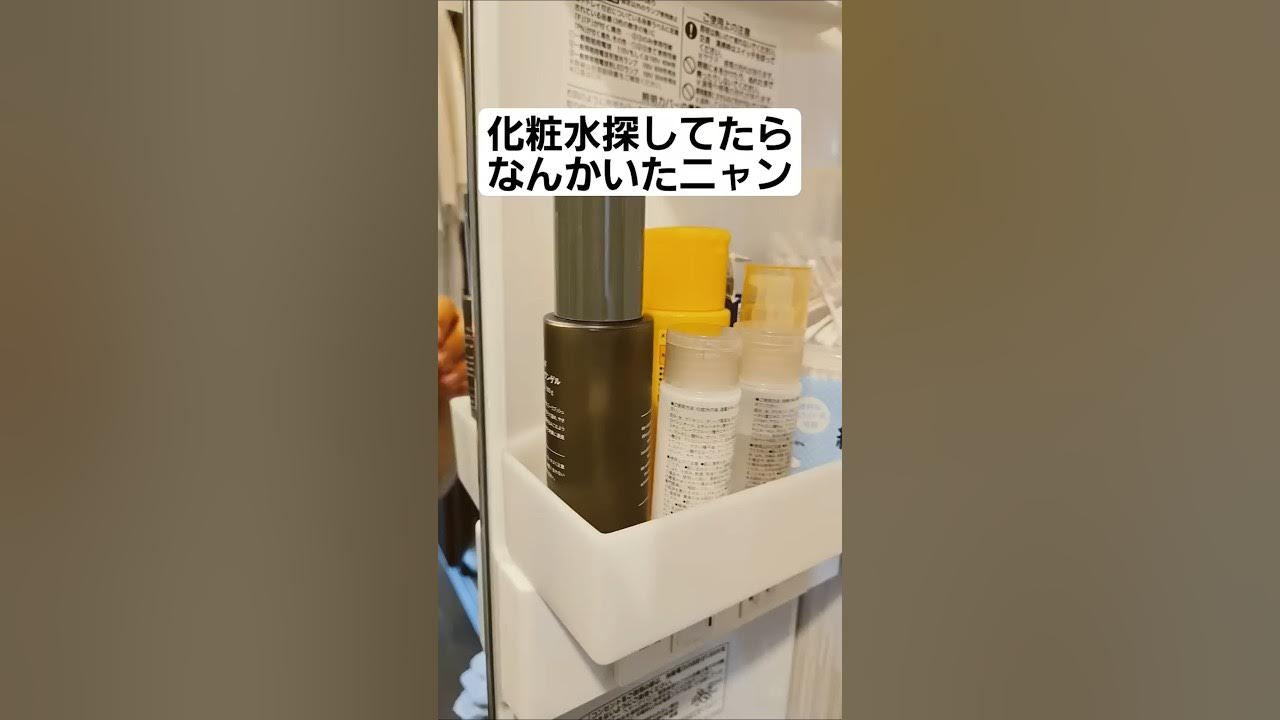 化粧水探してたらなんかいたニャン #music #orangerange 化粧水探してたらなんかいたニャン #music #orangerange