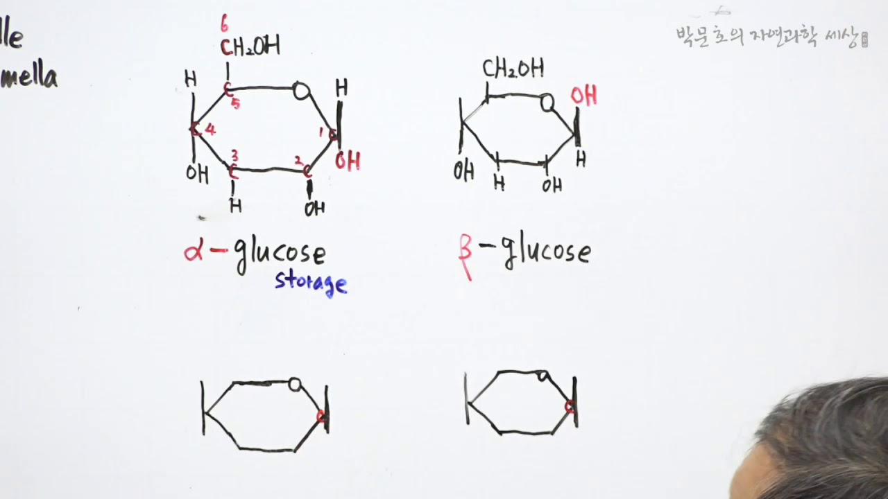 17.글쿠코스 분자(α-galactose,β-galactose) - YouTube