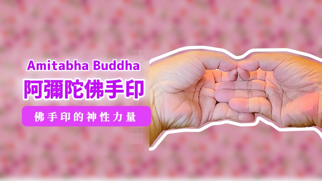 佛手印的神奇力量《阿彌陀佛手印 Amitabha Buddha Mudra》無私清淨 無量光 無量壽 #花手印 #佛手印 #手印 #mudra ...