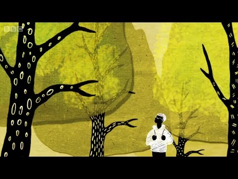 Vídeo: Apoiando-se: Como se Acompanhar de Plantas e Árvores