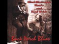 Blind Mississippi Morris and Brad Webb - Mysterious Woman