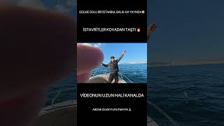 KOVALAR DOLDU TAŞTI EĞLENCE DESEN TAVAN SENDE İZLE KAÇIRMA 😂🔥