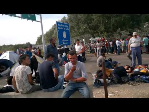 Refugees at the