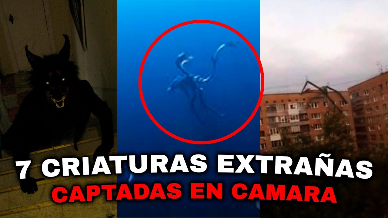 7 CRIATURAS EXTRAÑAS CAPTADAS EN CAMARA | KaraaTopero - YouTube