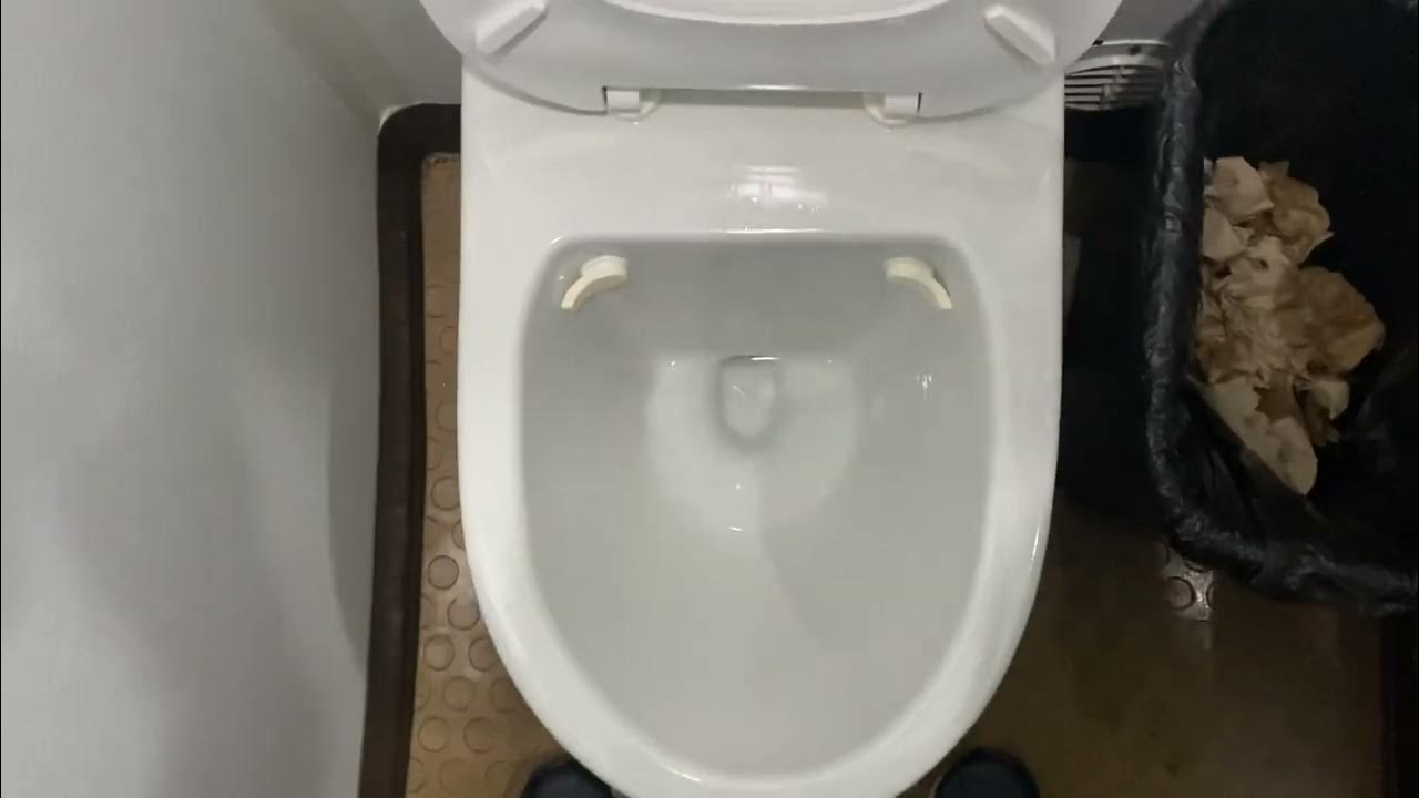 Interesting Unknown Vacuum Assist(?) Toilet At Cirque Su Soleil
