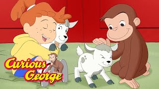 Curious George 🐑 George Goes to the Farm 🚜 Kids Cartoon 🐵 Kids Movies 🐵 Videos for Kids image