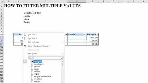 How to Filter Multiple text in One go