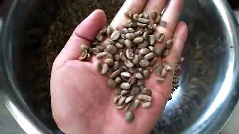 Coffee beans sheller