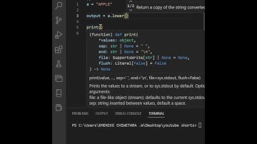 #converting #strings #to #lower #case #in #python @EMECHICODE