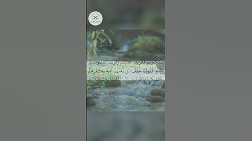 سورة البقرة  الشيخ محمد الفقيه  #اكسبلور #forupage #quran #تيك_توك #دويتو #love #peace #dosa #لايك