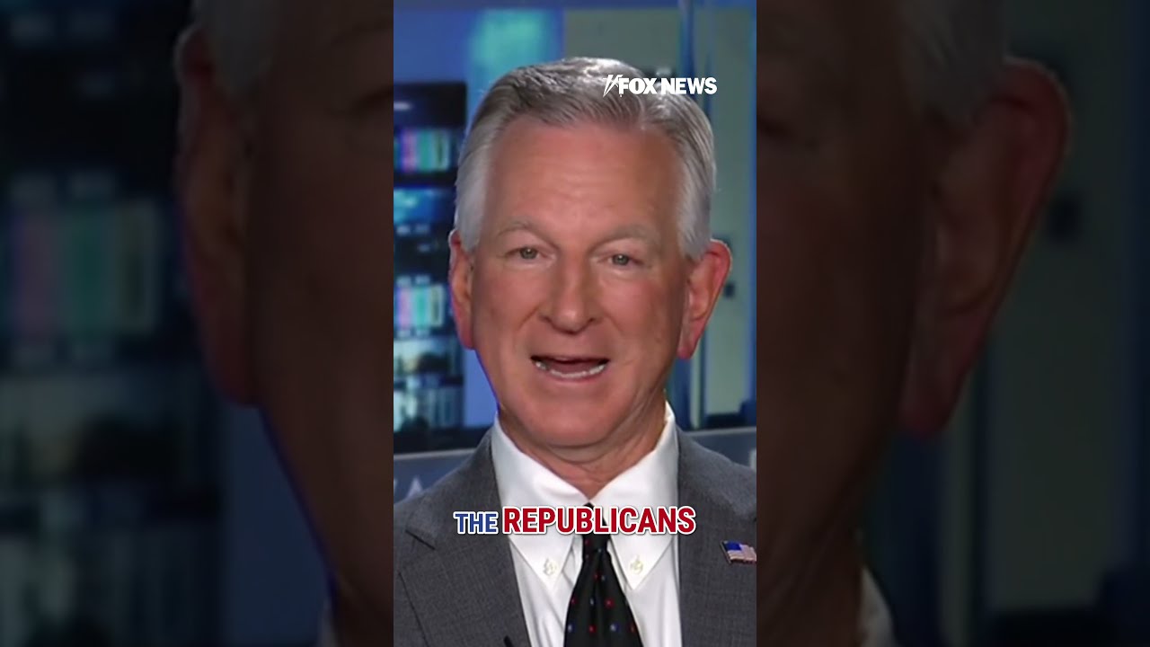 PLAYING HARDBALL Dems Called Out For Holding Up Senate Votes Shorts Politics Foxnews News
