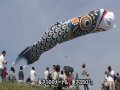 100ｍ　ジャンボ鯉のぼり Jumbo Koinobori