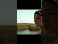 Picture picture | Sarah Cameron | #shorts #cool #fyp #viral