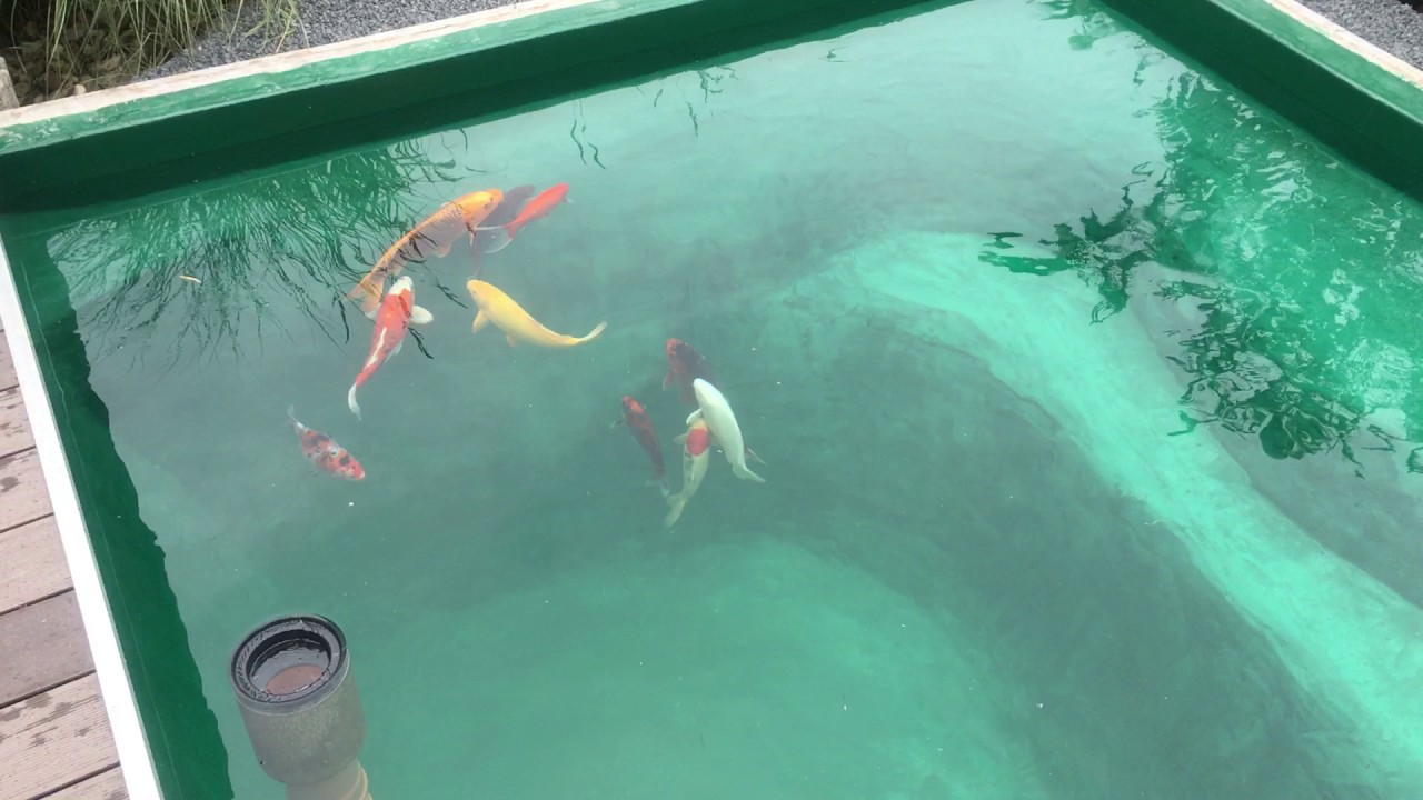 Koiteich 15.000 Liter 95 Watt Luftheber Großpatronenfilter 02 YouTube