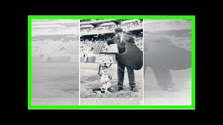 A’s Introducing Modern Harvey the Rabbit