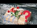 Посылка СЮРПРИЗ с неизвестными розами/ Распаковка и ЧТО ТАМ… ?/Кот в мешке