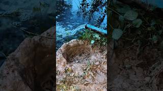 🐟🎣আংটির মধ্যে কতগুলো ছোট ছোট মাছ পড়েছে #fishing #video 🐟🐟