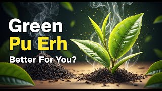 What Makes GREEN Pu Erh Better For You Than Black Pu Erh?