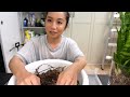 End of video