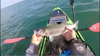 Fishing for Pollock and Bass