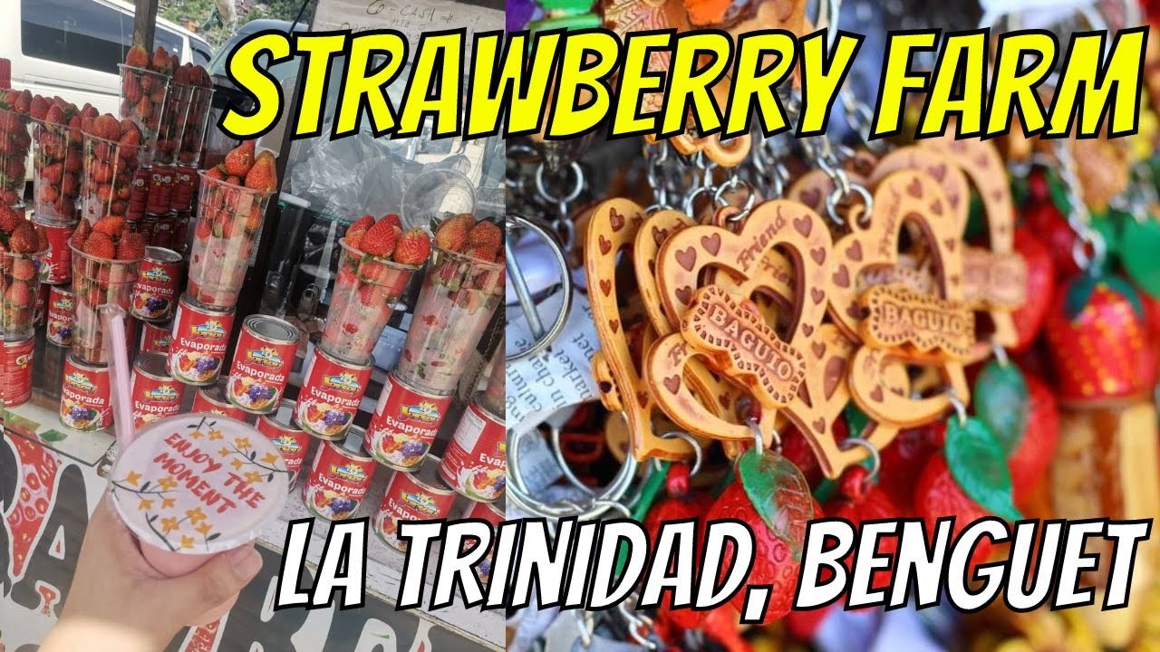 Souvenir & Street Foods Shop at Strawberry Farm, La Trinidad, Benguet