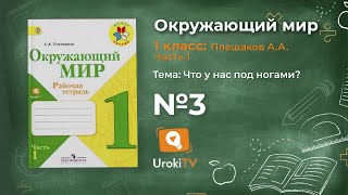Задание 3 Что у нас под ногами? - Окружающий мир 1 класс (Плешаков А.А.) 1 часть Задание 3 Что у нас под ногами? - Окружающий мир 1 класс (Плешаков А.А.) 1 часть