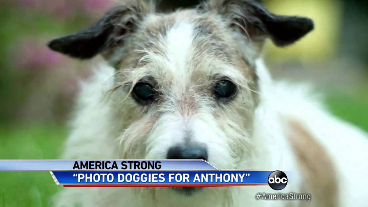 Doggies for Anthony Give Hope to Boy With Leukemia watch v=UiucKbMqgYo