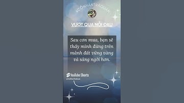 1200💪Bài Học Cuộc Sống Hay, Ý Nghĩa #baihoccuocsong #trietlycuocsong #câunóihay #triếtlýcuộcsống