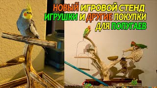 НОВЫЙ ИГРОВОЙ СТЕНД ДЛЯ ПОПУГАЕВ ИГРУШКИ И ДРУГИЕ ПОКУПКИ ДЛЯ ПТИЧЕК