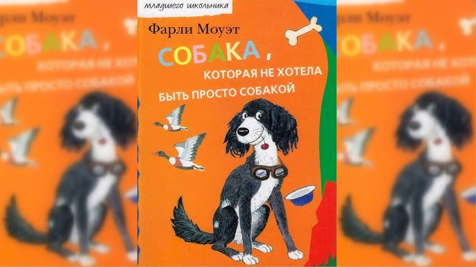 Рассказы про собак слушать. Сказка про собаку. собака которая не хотела быть просто собакой. собака которая не хотела быть просто собакой фарли моуэт книга. сказки для собак для щенков слушать.