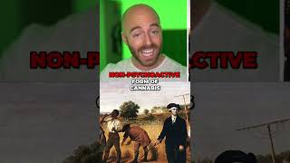 George Washingtons SECRET H3mp and Cannab!s Use Revealed!