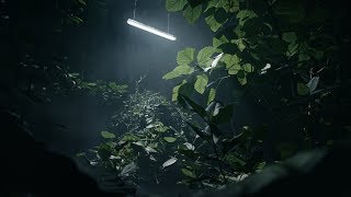 AMPHIBIA – Built to resist in industry lighting AMPHIBIA – Built to resist in industry lighting