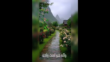 وأن ليس للإنسان إلا ماسعى بصوت القارئ محمود خليل الحصري