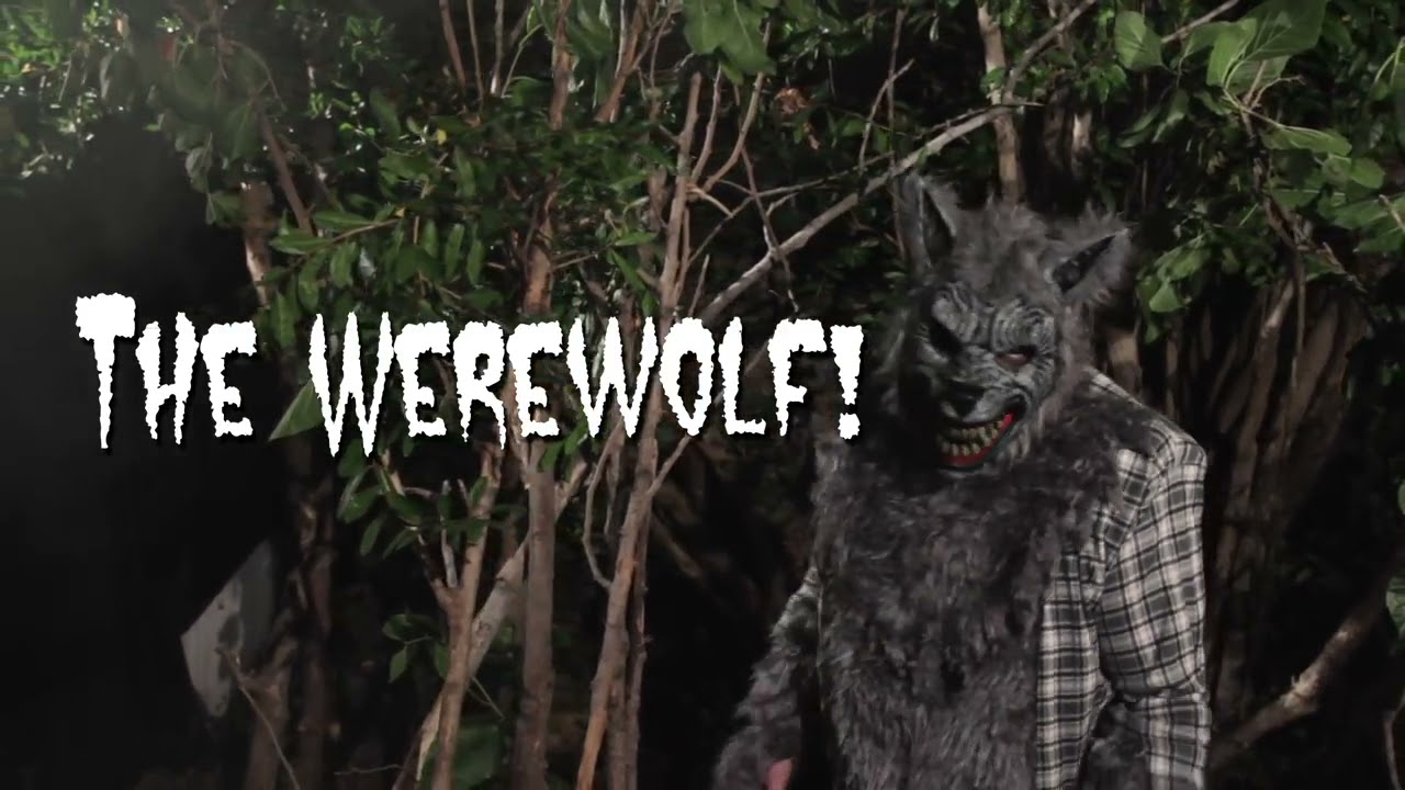 Werewolf Animotion Mask at Spirit Halloween - YouTube