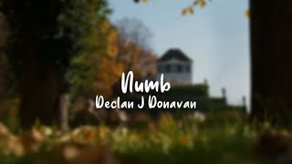 Numb - Declan J Donovan (Lyrics)