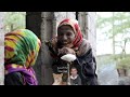 مسلسل الدنيا غابه الحلقة الثانية