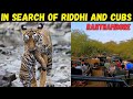 In search of riddhi and cubs  tigress t124 ranthambore jungle safari  zone 3 tiger safari