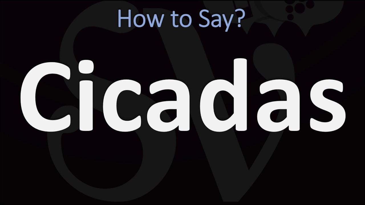 How to Pronounce the Word Cicadas? (2 WAYS!) UK/British Vs US/American