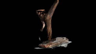 3D Model Reconstruction of Bruce Lee Brass Sculpture from Point Clouds