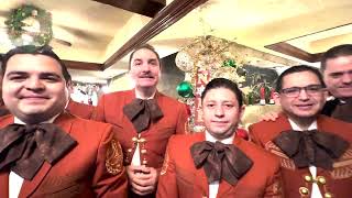 ¡Feliz Navidad Amigos! 🌟🎄😄 by Mariachi Nuevo Tecalitlán Oficial 600 views 5 months ago 31 seconds